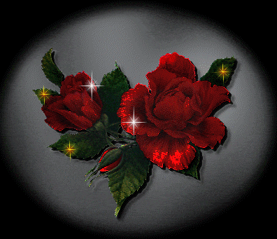 Sparkling Red Roses