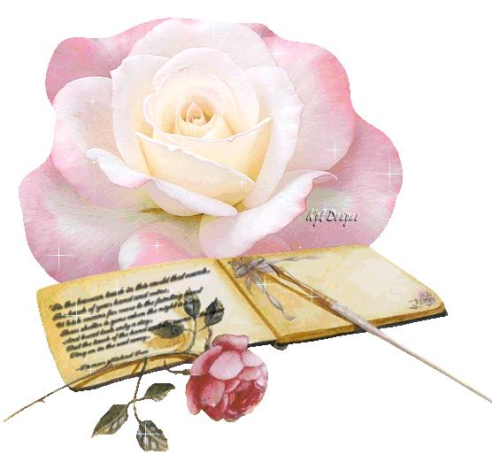 Pretty Pink Rose