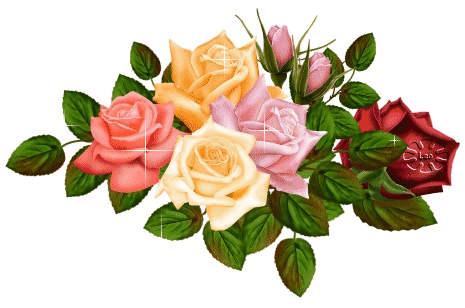 Mixture of Sparkling Roses