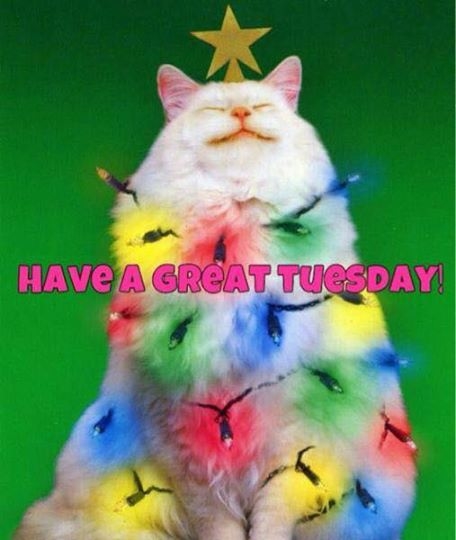 Have a great Tuesday Have a great Tuesday