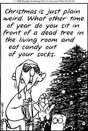 Christmas is just plain weird....