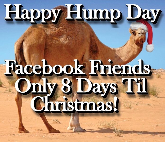Happy Hump Day
