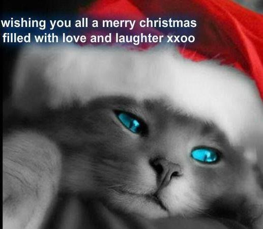 Merry Christmas Merry Christmas