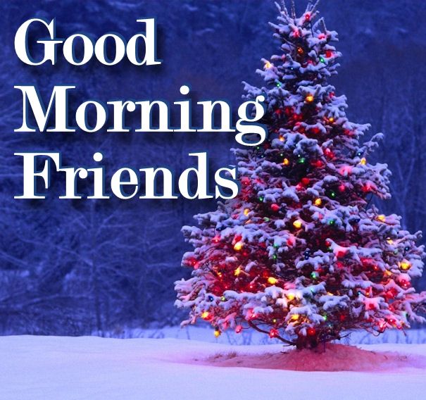 Good Morning Friends Good Morning Friends