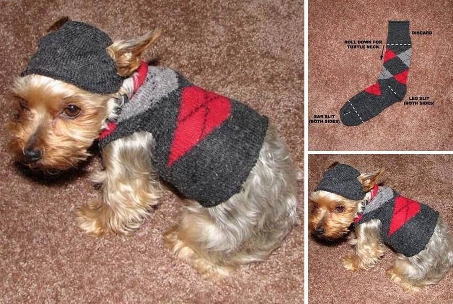 How to make a doggy sweater
