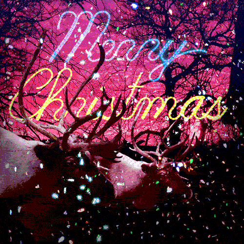 Merry Christmas Merry Christmas