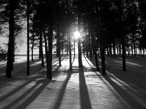 Sun shinning through