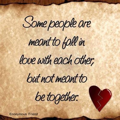 Meant To Fall In Love Meant To Fall In Love