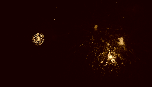 Fireworks Fireworks