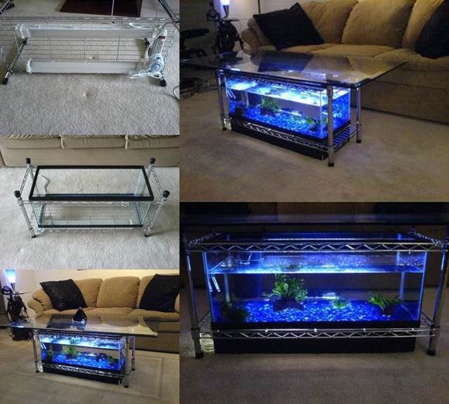 Aquarium coffee table Aquarium coffee table