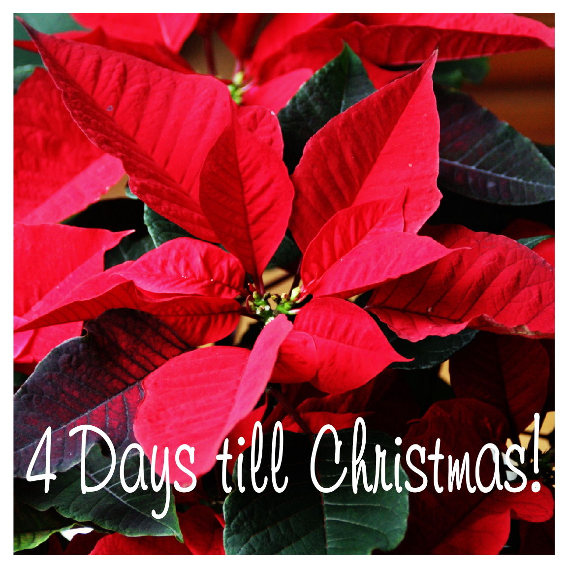 4 Days Til Christmas 4 Days Til Christmas