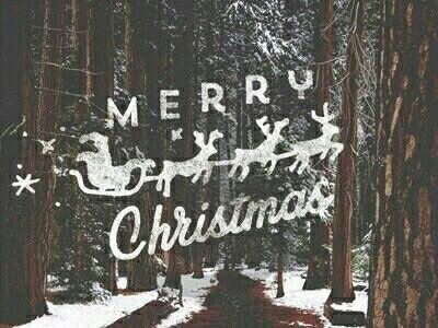 Merry Christmas Merry Christmas