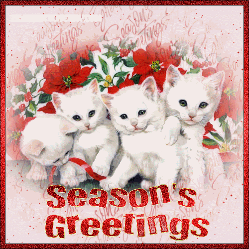 Season's Greetings Season's Greetings