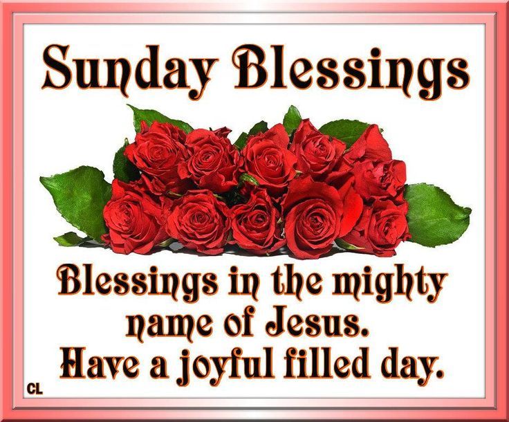 Sunday Blessings