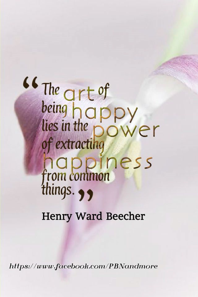happiness happiness