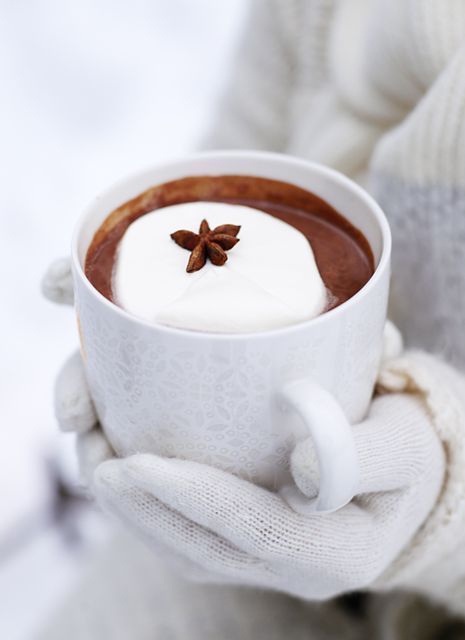 Hot Chocolate with Whip Cream