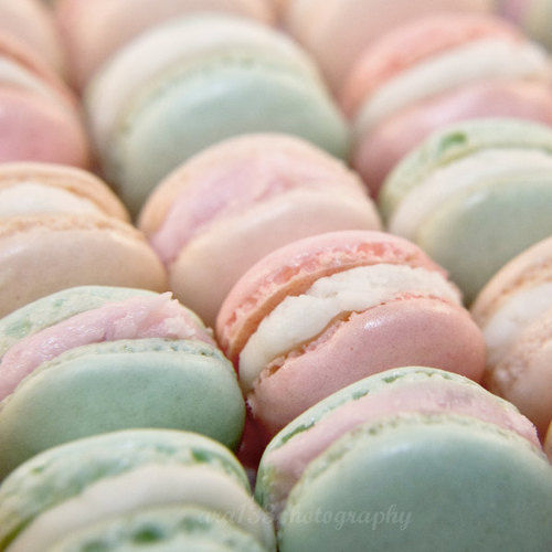 Macaroons Macaroons