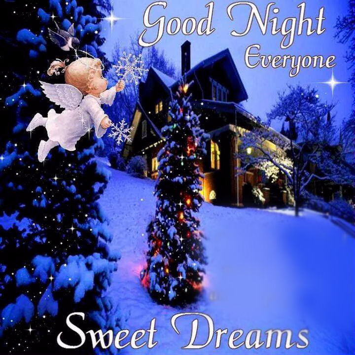 Goodnight Everyone Goodnight Everyone