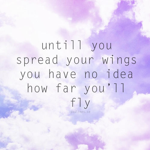 You have no idea how far youll fly You have no idea how far youll fly