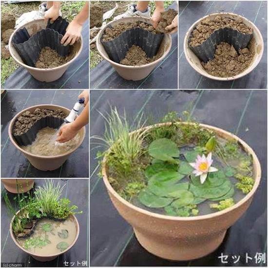 Create a mini garden pond