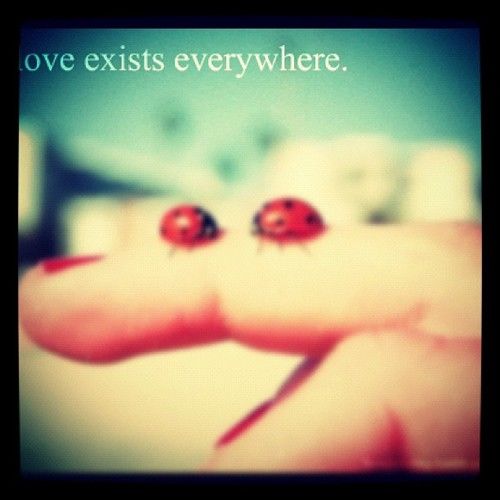 Love exists everywhere Love exists everywhere