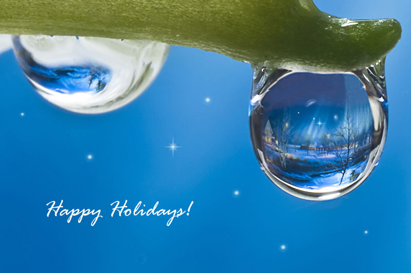 Happy Holidays