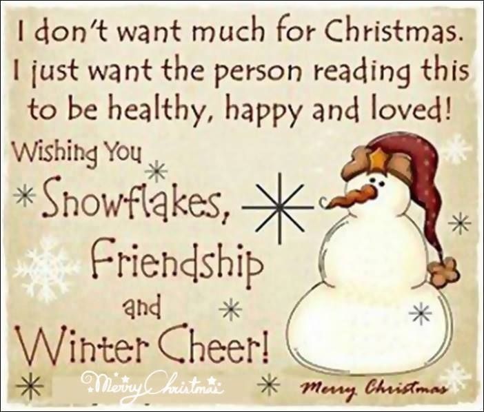 I don't want much for Christmas....