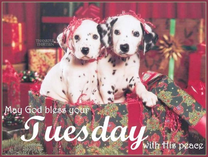 Tuesday Blessings Tuesday Blessings