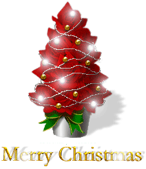 Merry Christmas Merry Christmas