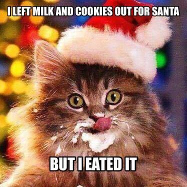 Milk and cookies fro santa