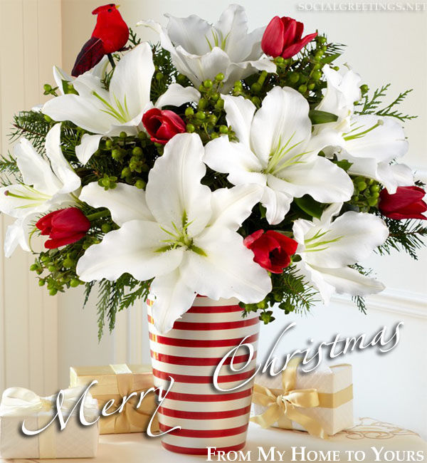 Merry Christmas From My home to Yours Merry Christmas From My home to Yours