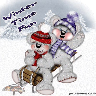 Winter Time Fun