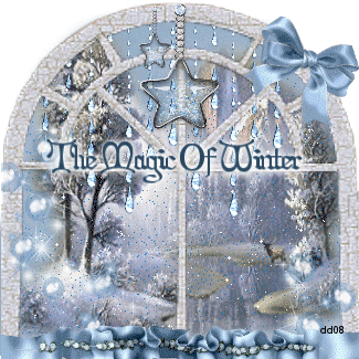 The Magic of Winter The Magic of Winter