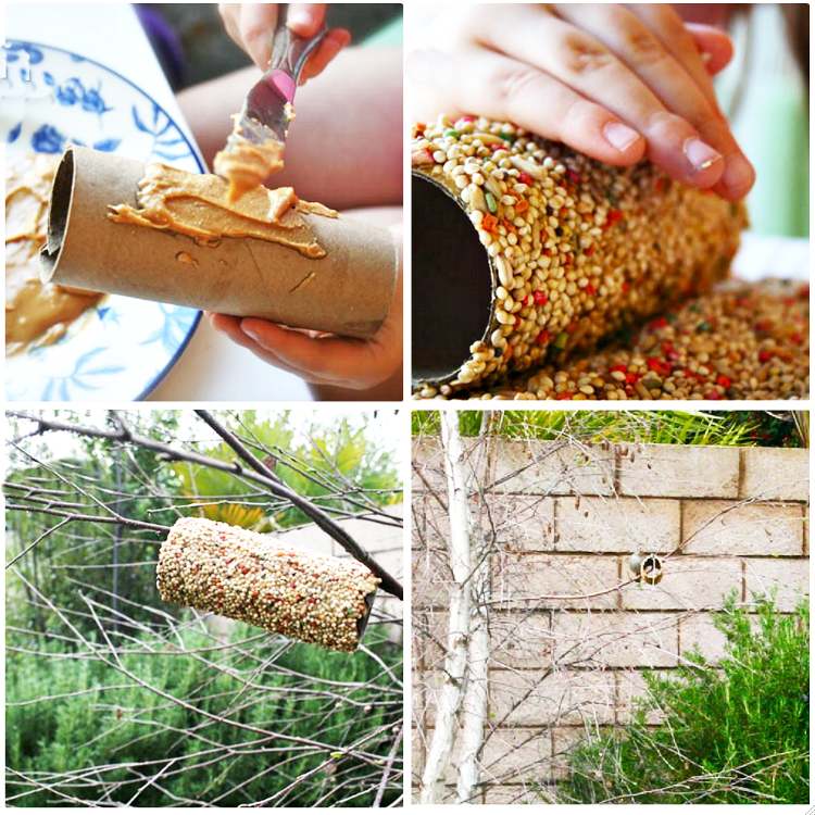 How to make a toilet roll bird feeder