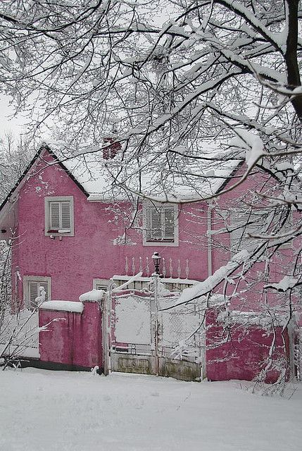 Pink House in Winter Snow Pink House in Winter Snow