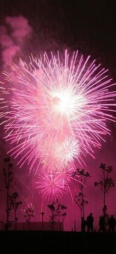 Pink Fireworks Pink Fireworks