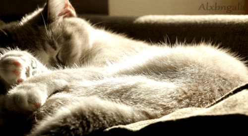 Sleeping Peacefully Sleeping Peacefully