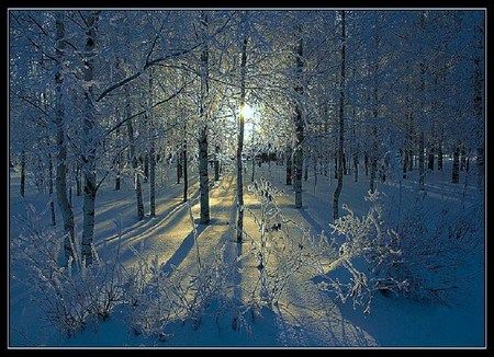 Beautiful Ice Blue Winter