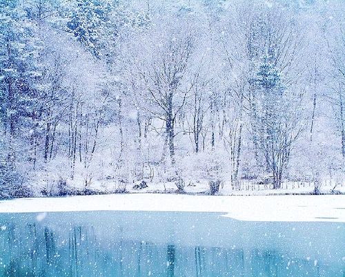 Icy Blue Winter