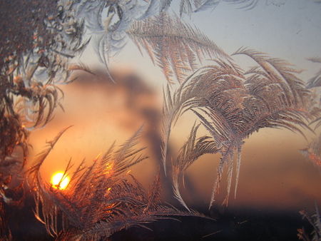 Icy Winter Sunset Icy Winter Sunset