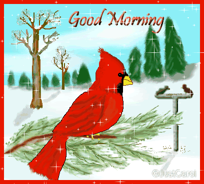 Good Morning