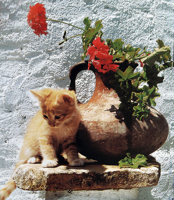 Oops.. how do I get down?