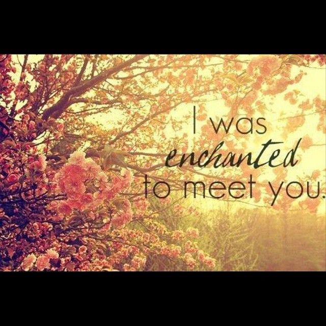 I was enchanted to meet you I was enchanted to meet you