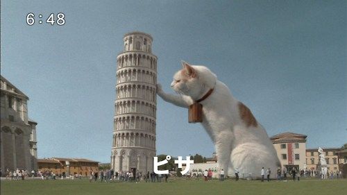 Eiffel Tower Cat Eiffel Tower Cat