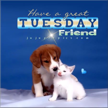 Have a great Tuesday friend Have a great Tuesday friend