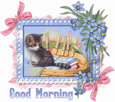 Good Morning