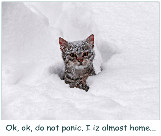 Ok, ok, do not panic. I iz almost home....