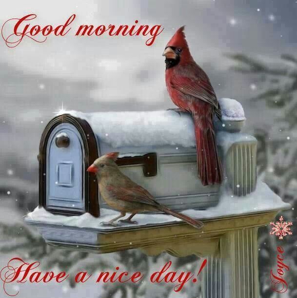Good Morning Have a Nice Day Good Morning Have a Nice Day