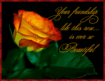 Your friendship like this rose is ever so beautiful