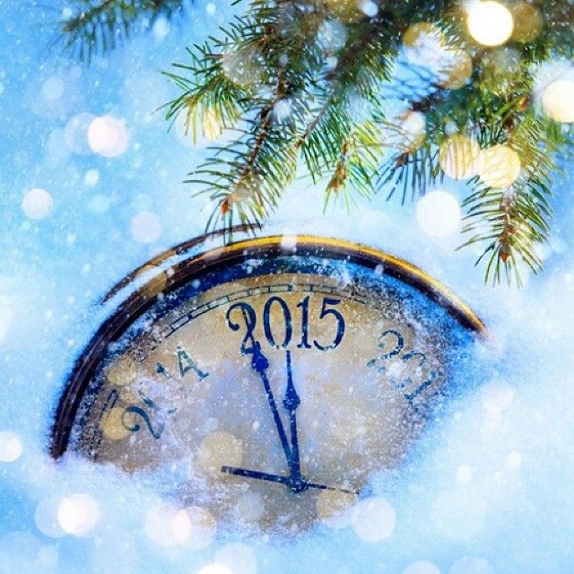 2015 2015